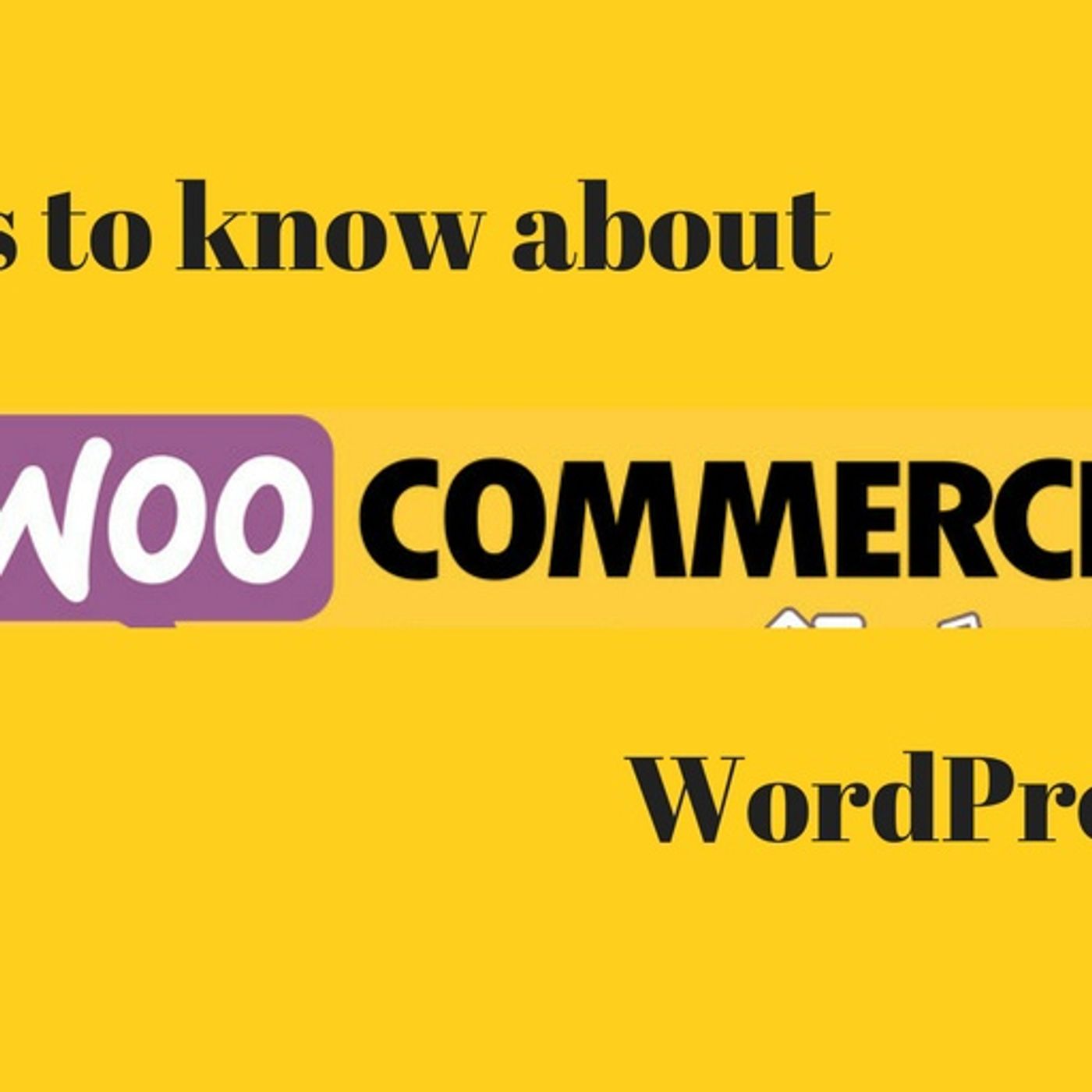 Why you should Buy WooCommerce Plugins thumbnail