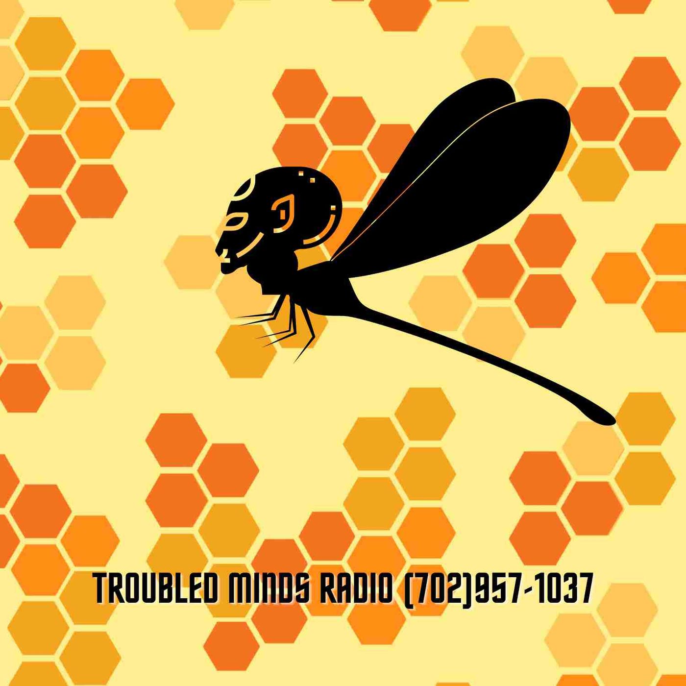 Troubled Minds Radio