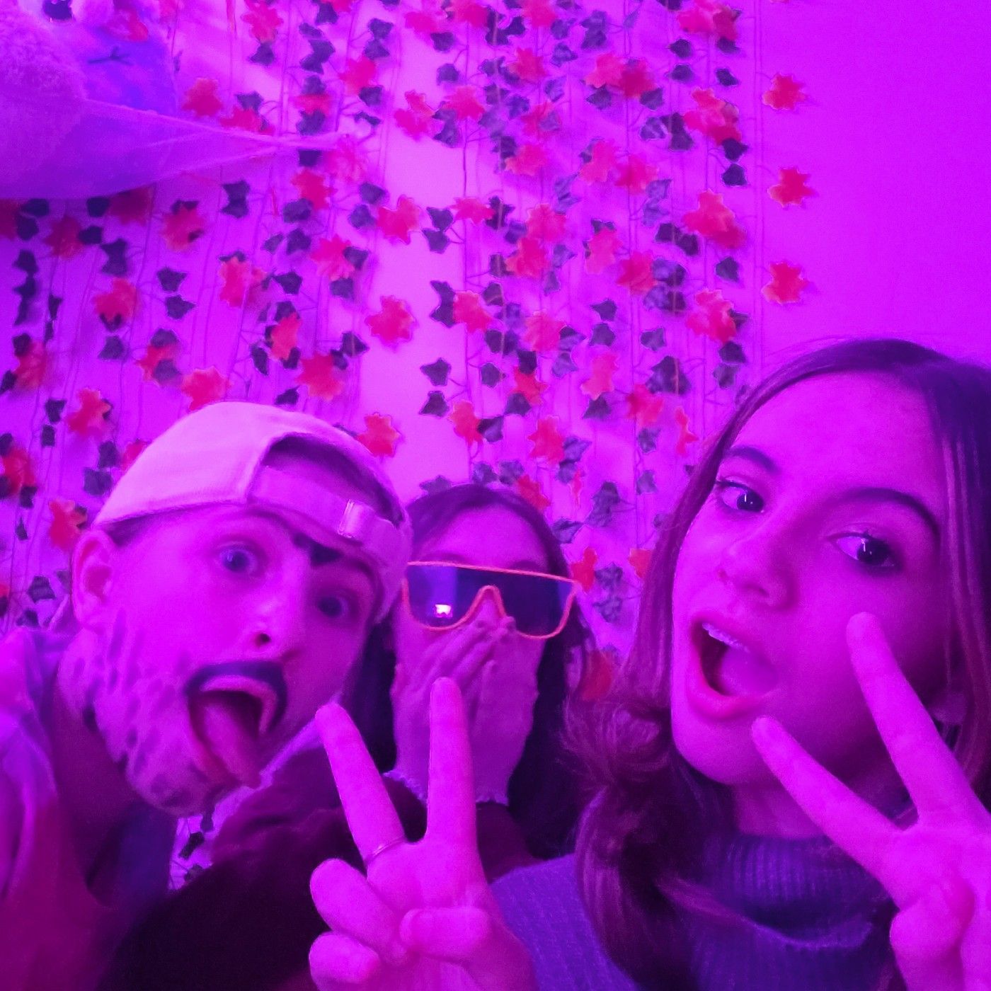 Dear diary(s) podcasts cover art