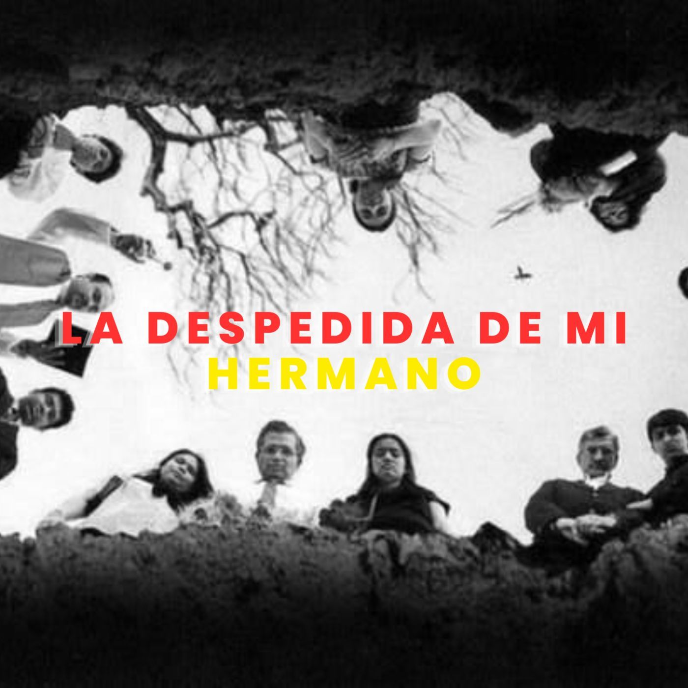 LA DESPEDIDA DE MI HERMANO