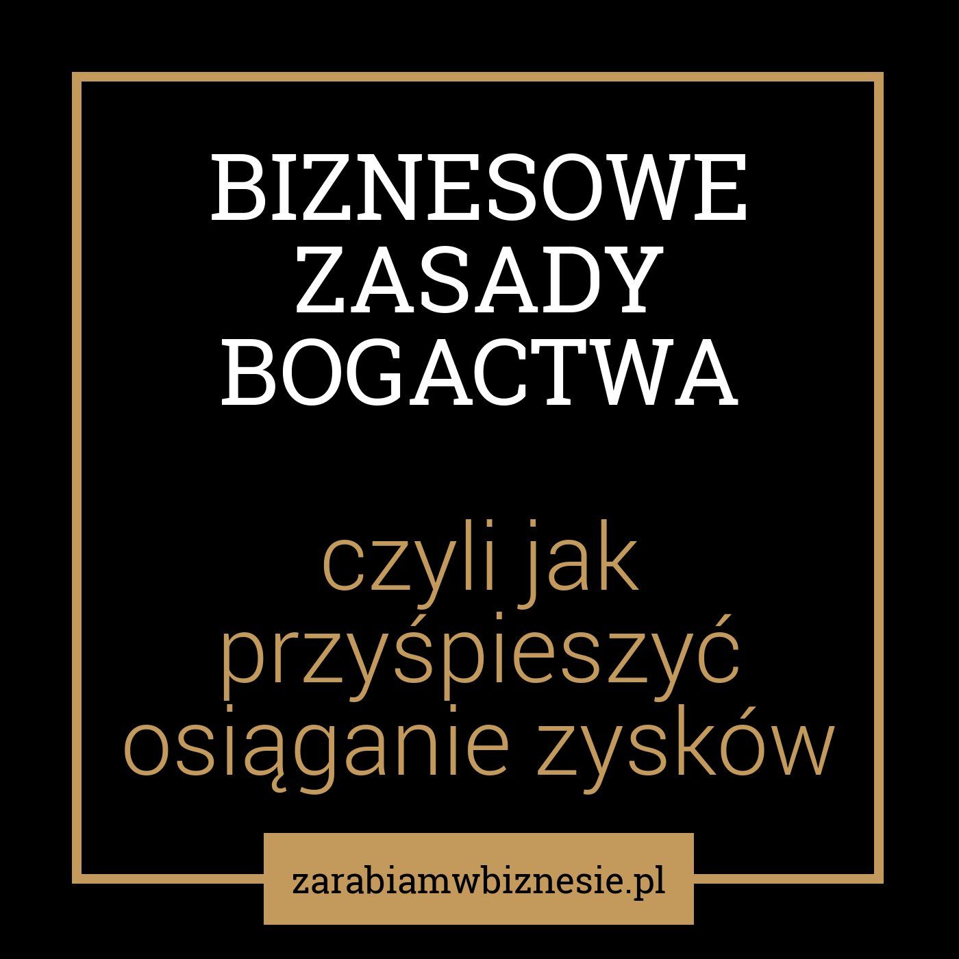 Zarabiam w Biznesie