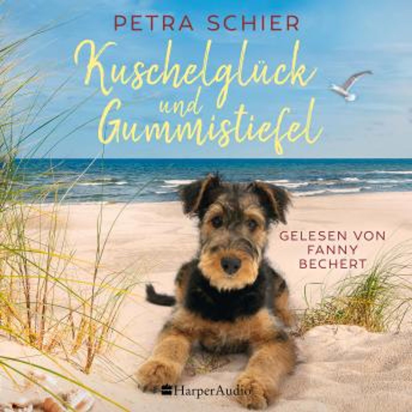 Grab the Top Full Audiobooks in Fiction, Contemporary Women
