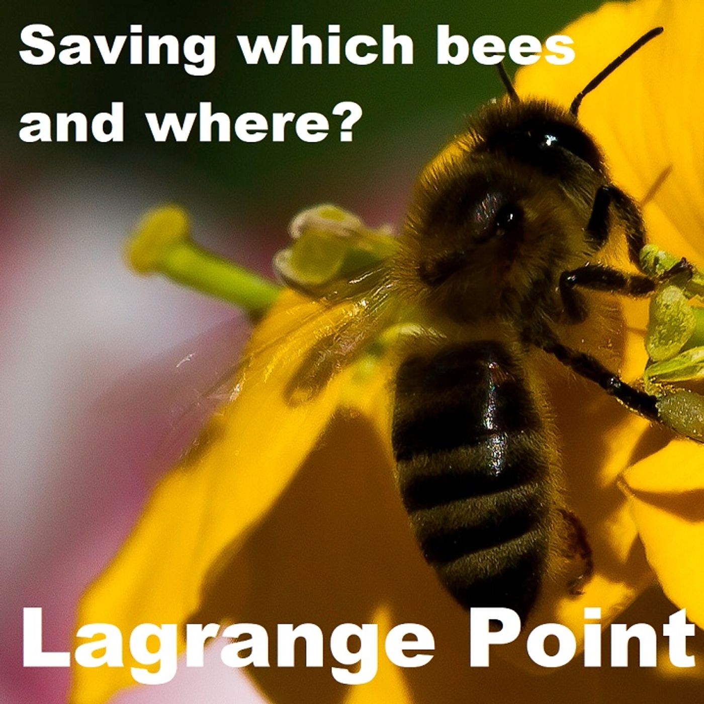 Lagrange Point