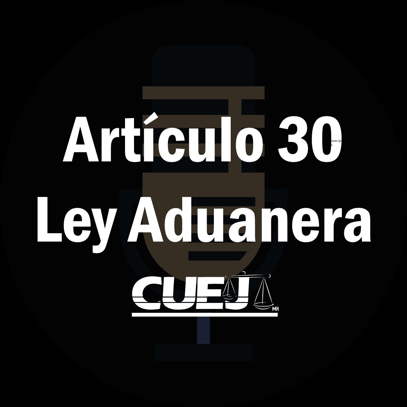 Audio Ley Aduanera