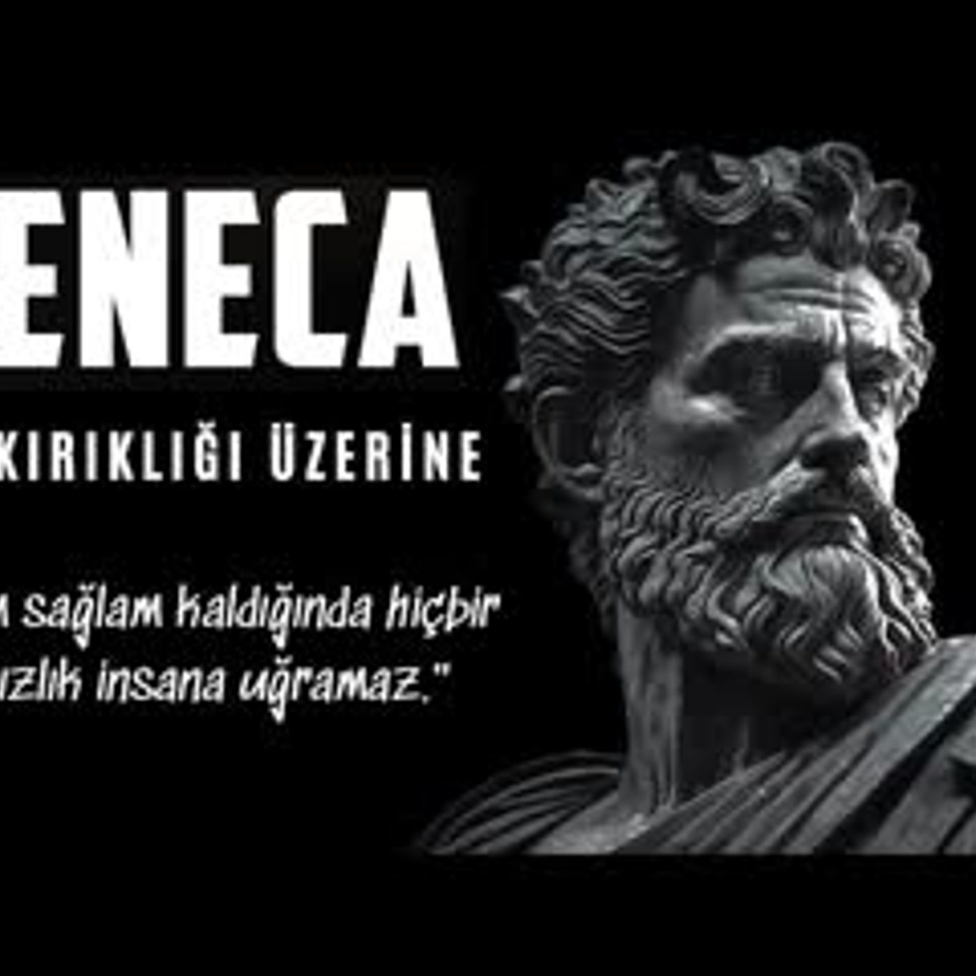 SENECA - Düş Kırıklığı Üzerine - Sesli Kitap Dinle