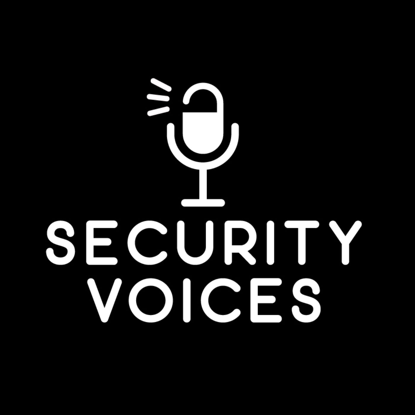 Wrap-up: Final Episode of Security Voices