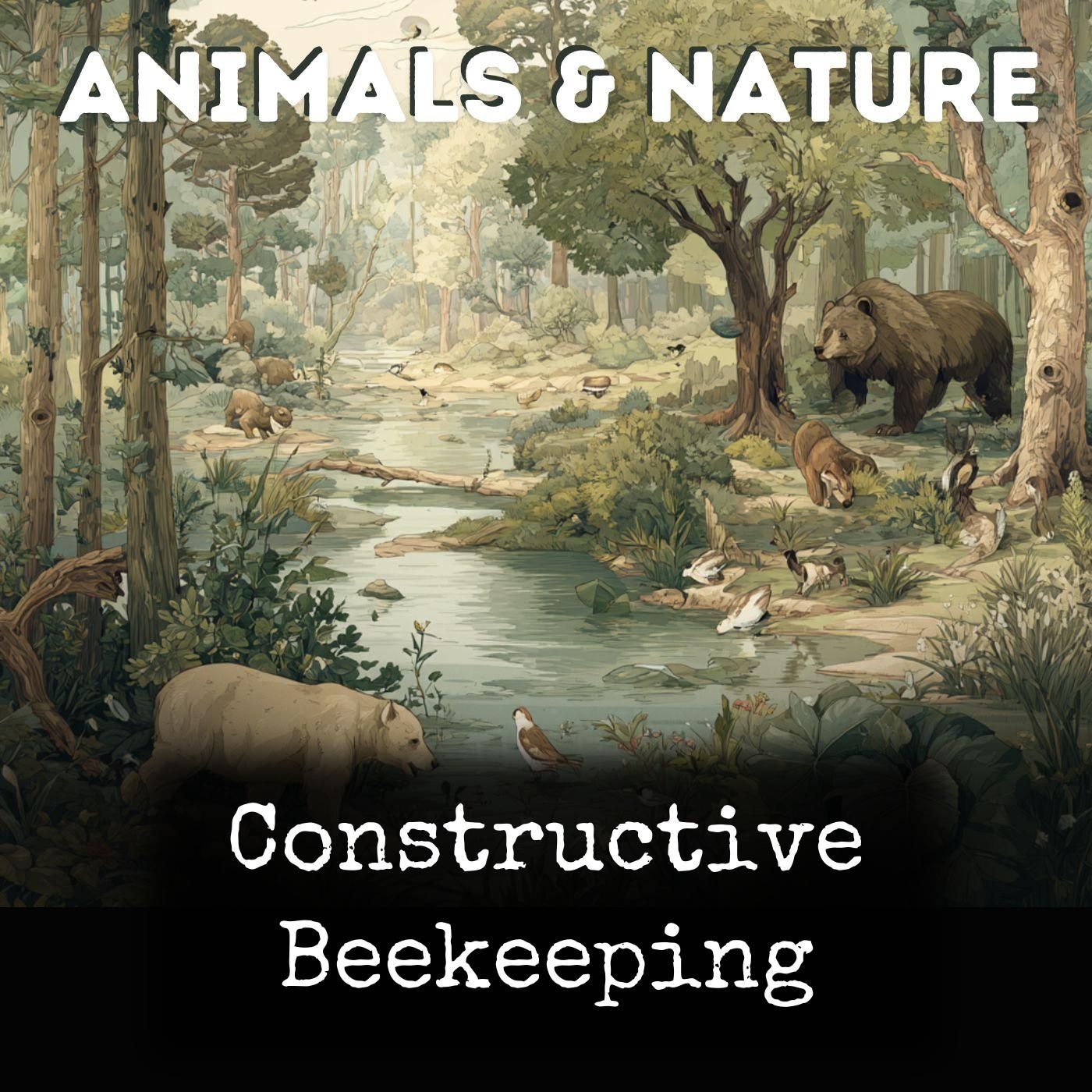 Constructive Beekeeping cover art