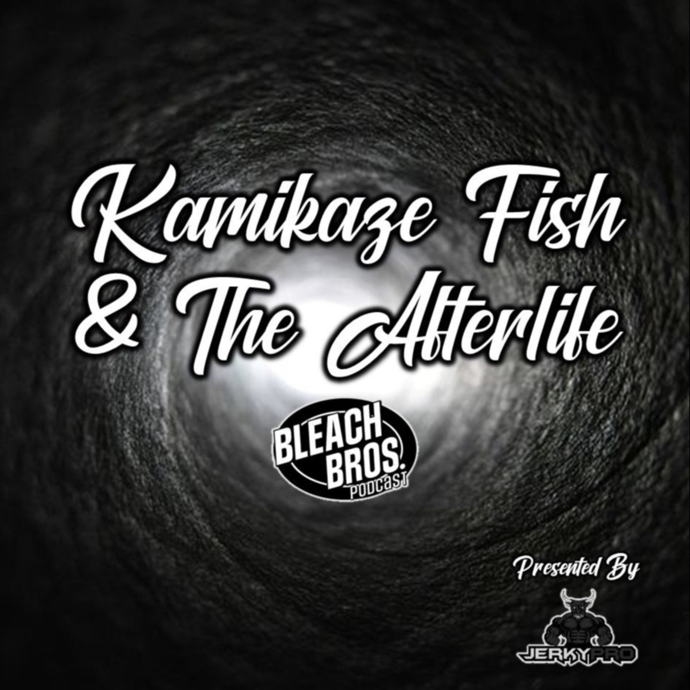Kamikaze Fish & The Afterlife episode artwork