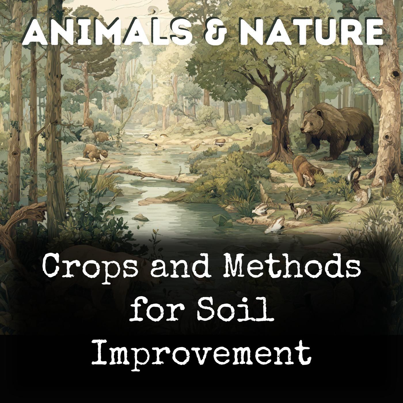 Crops and Methods for Soil Improvement cover art