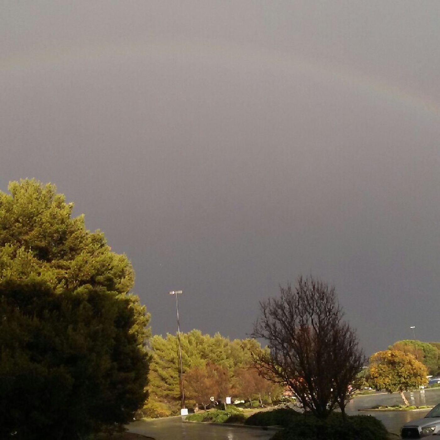 Stay Talking Mafia👄💪💄💰📀