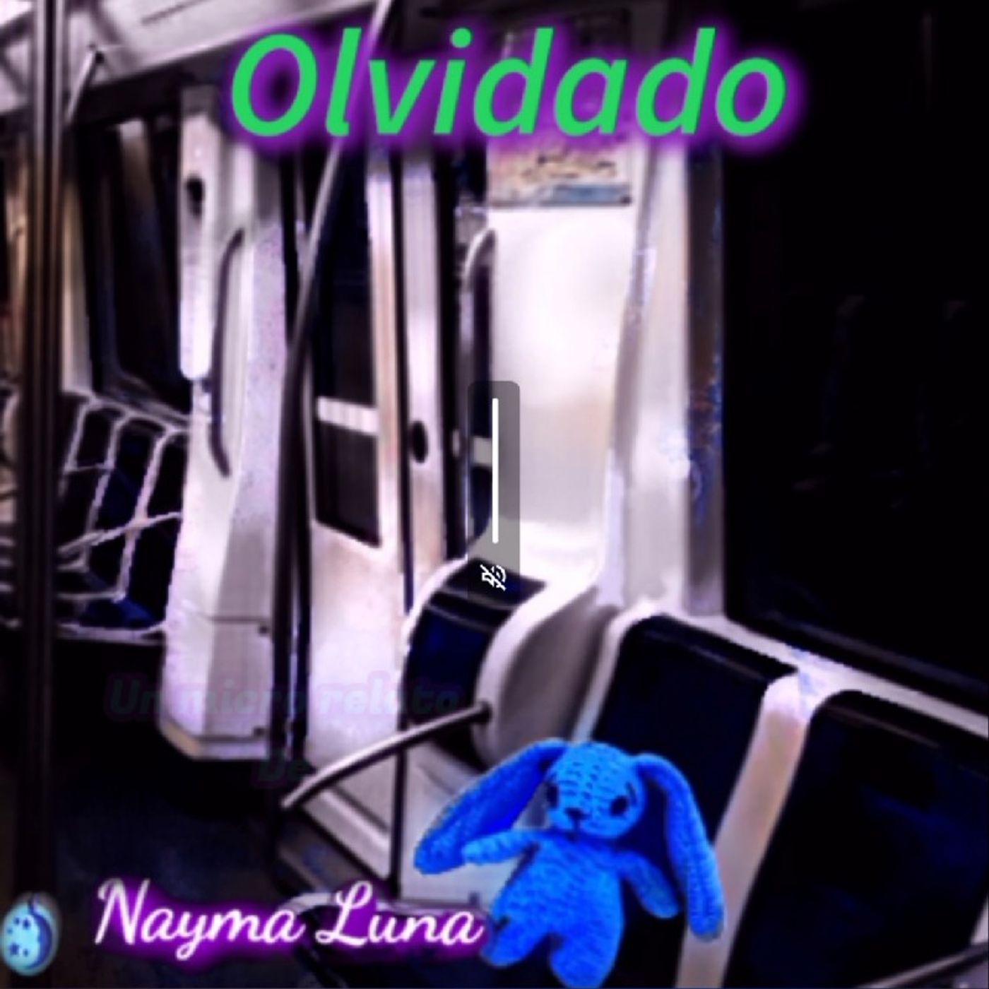 La burbuja de Nayma