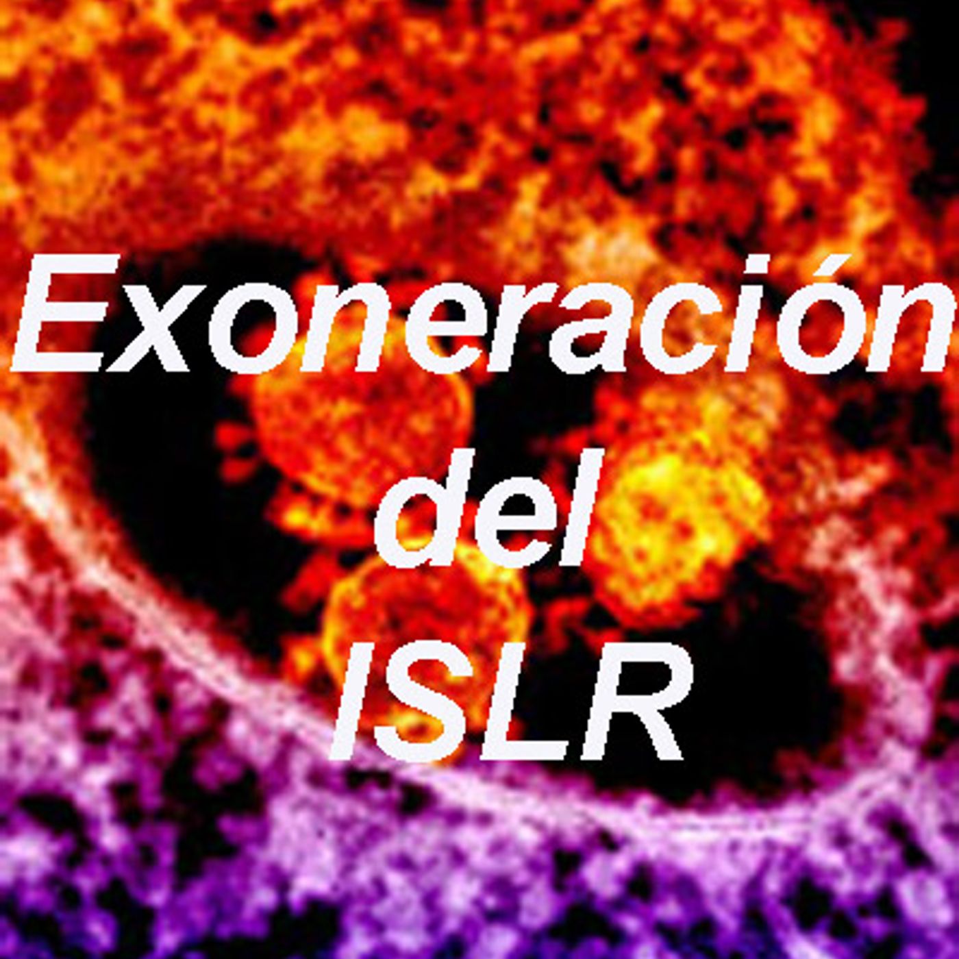 Decreto número 4.171 sobre  Exoneración del pago del ISLR a personas naturales periodo fiscal 2019 AudioLey.com episode artwork