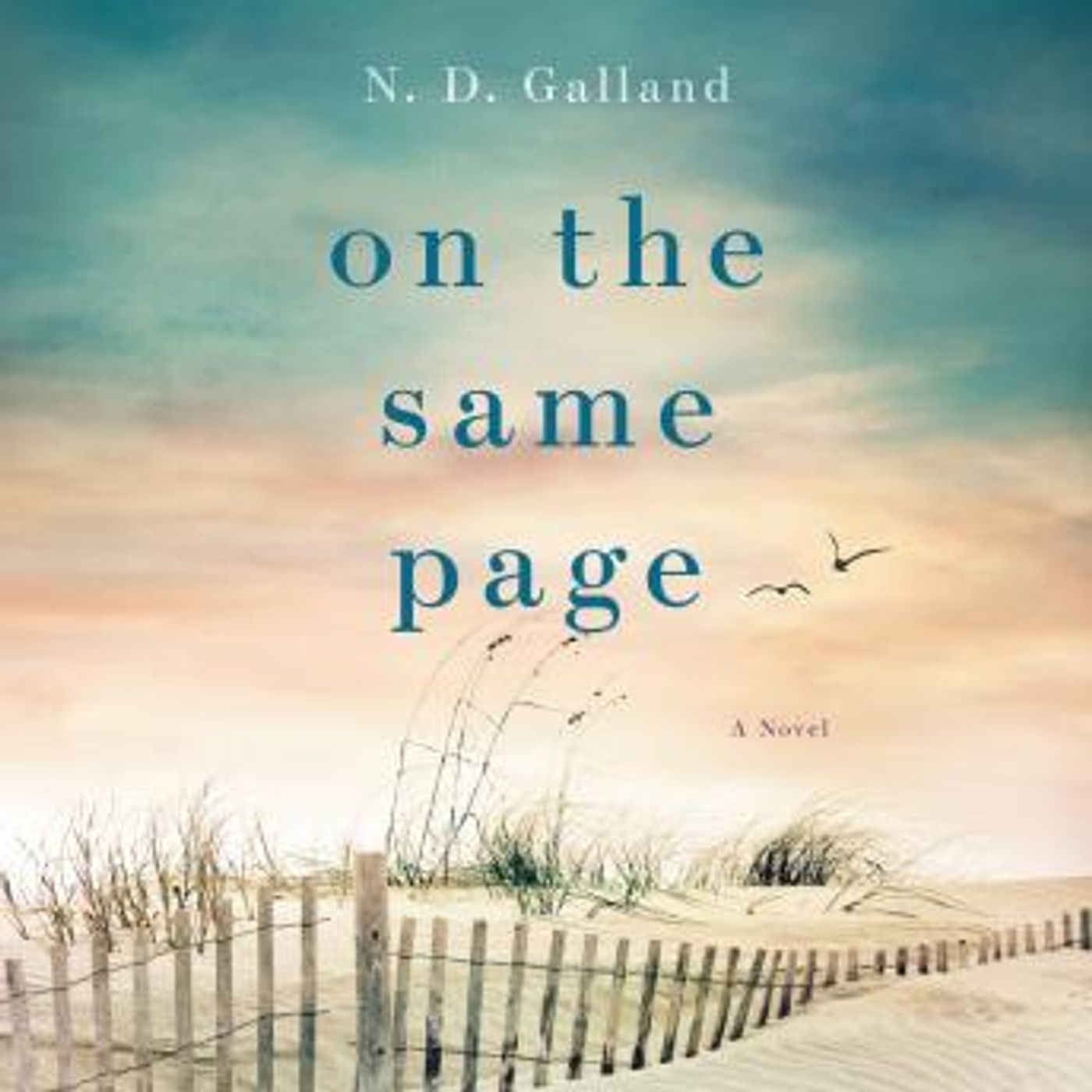 Download Best Full-Length Audiobooks in Fiction, Contemporary Women