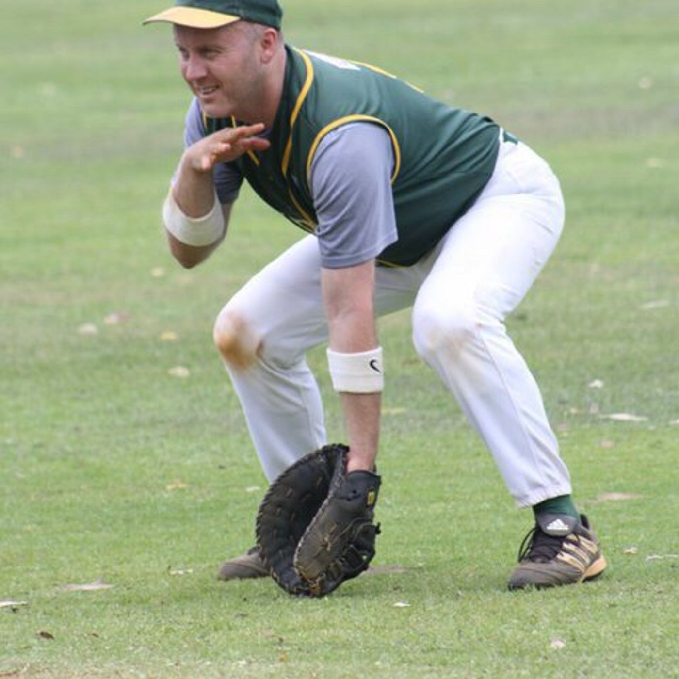 Ladywhips Baseball