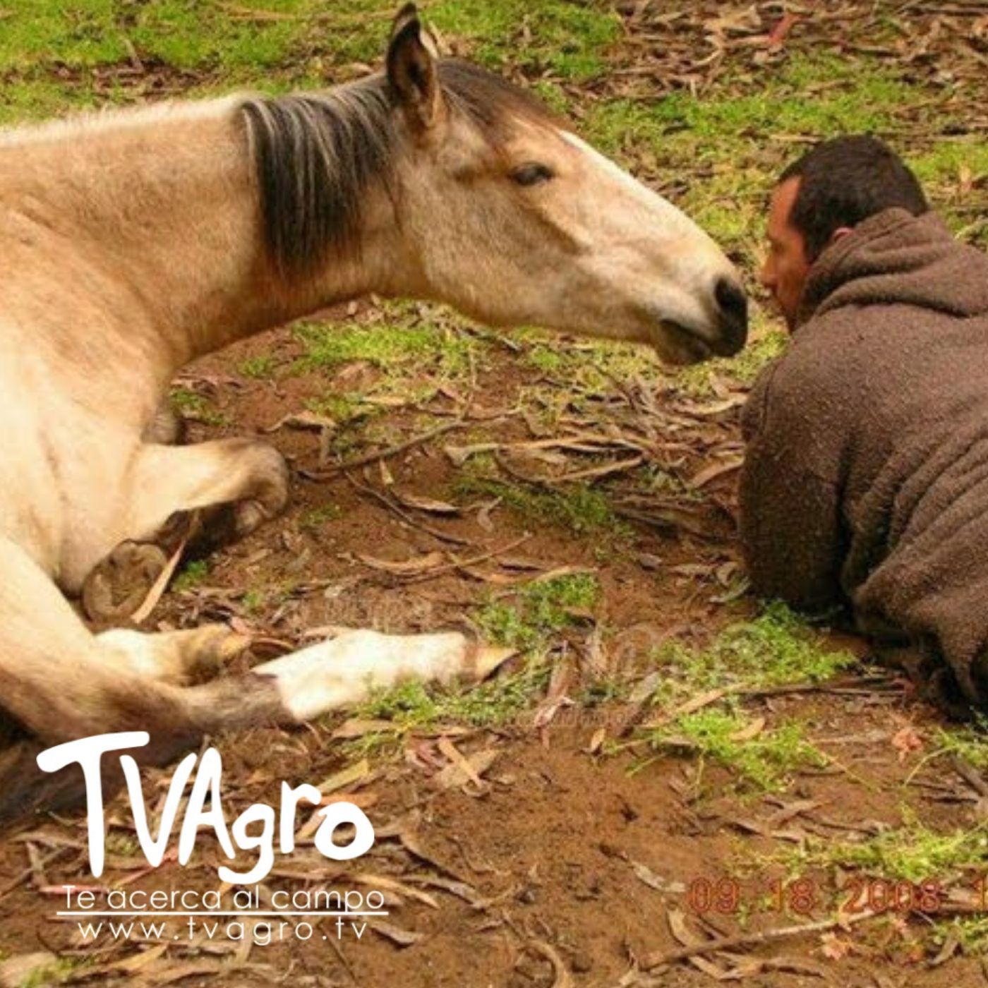 TV AGRO