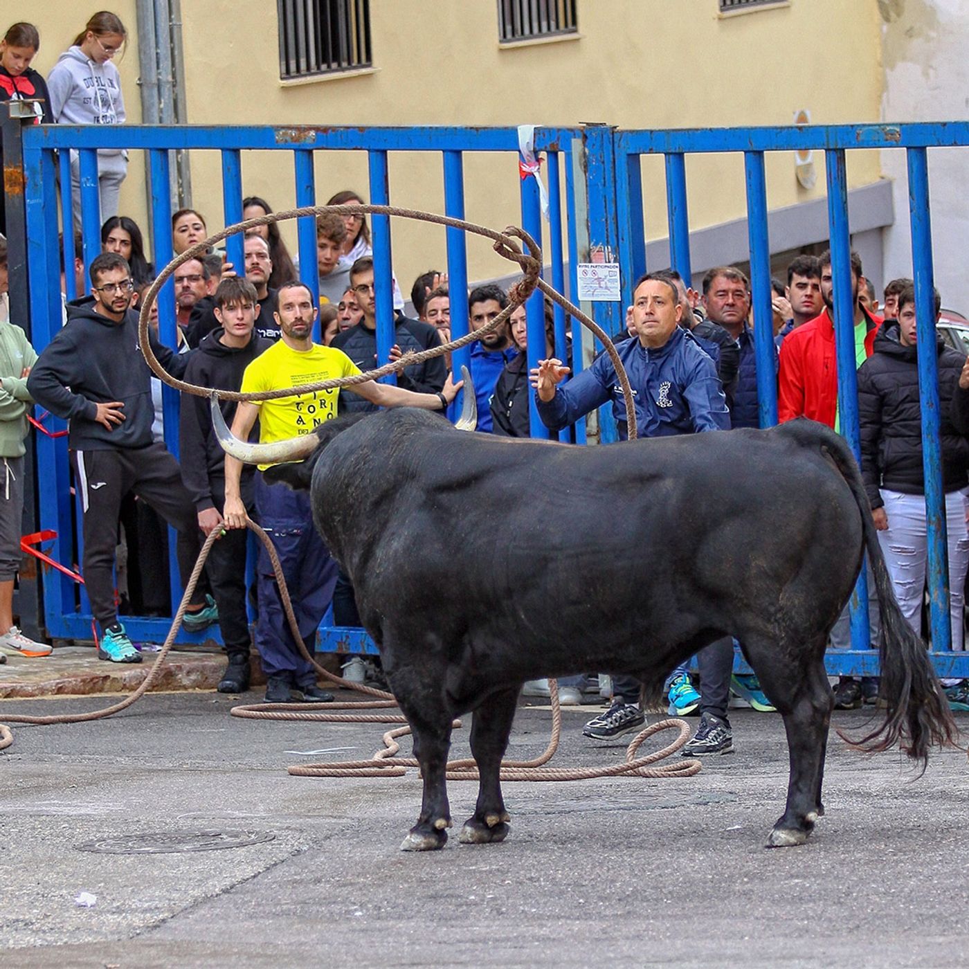 Hablemos de Toros