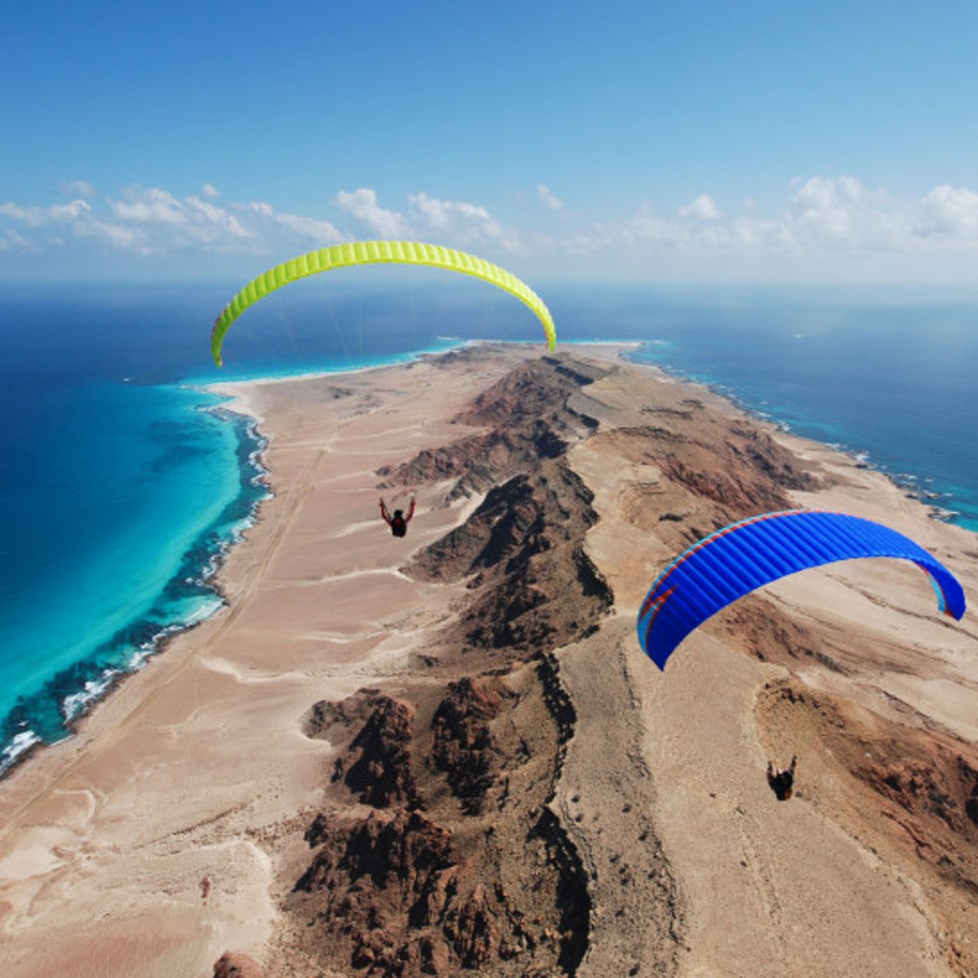 Socotra un paradiso naturale da altro mondo episode artwork
