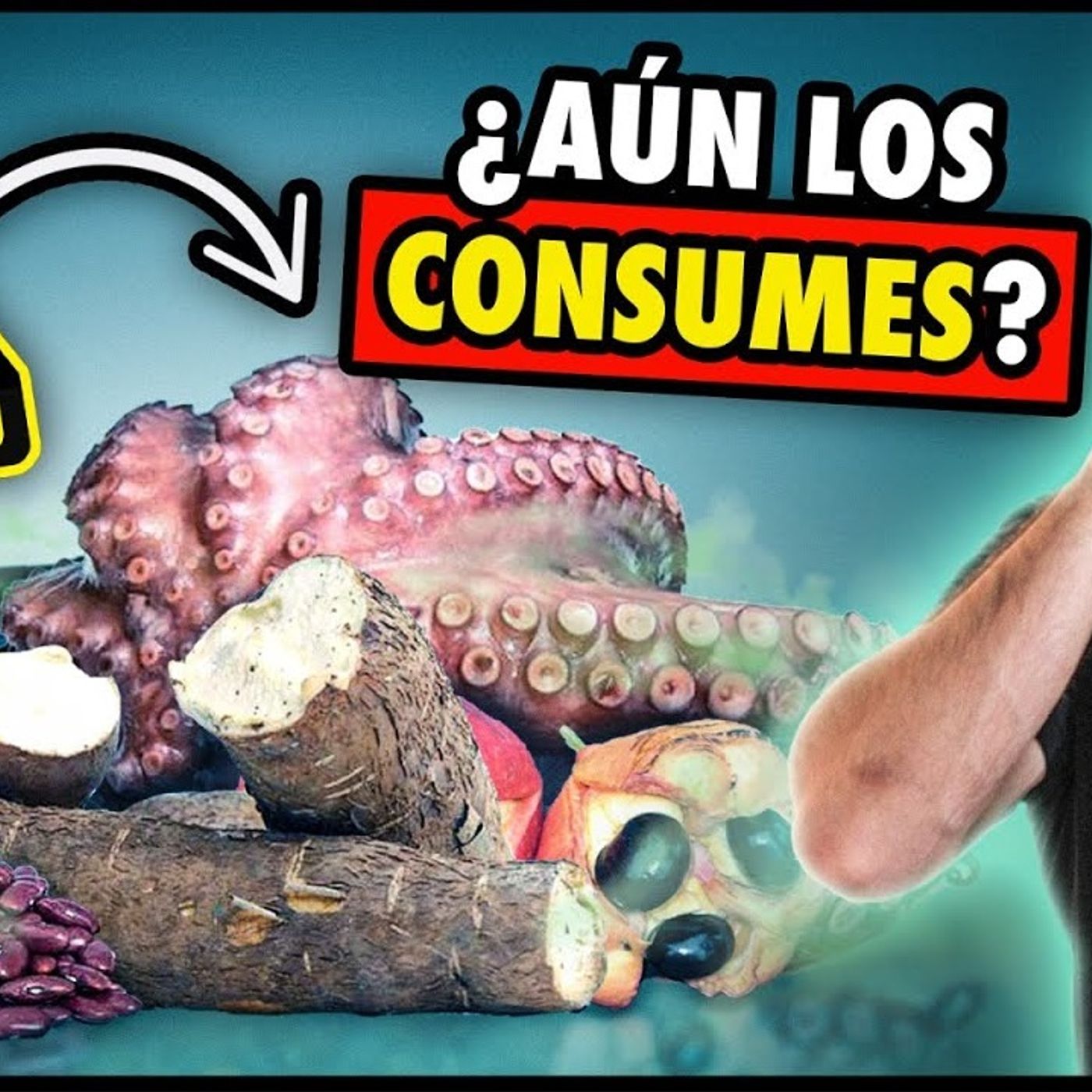 PUEDEN MATARTE⚠️☠️Estos son los ALIMENTOS más PELIGROSOS del MUNDO