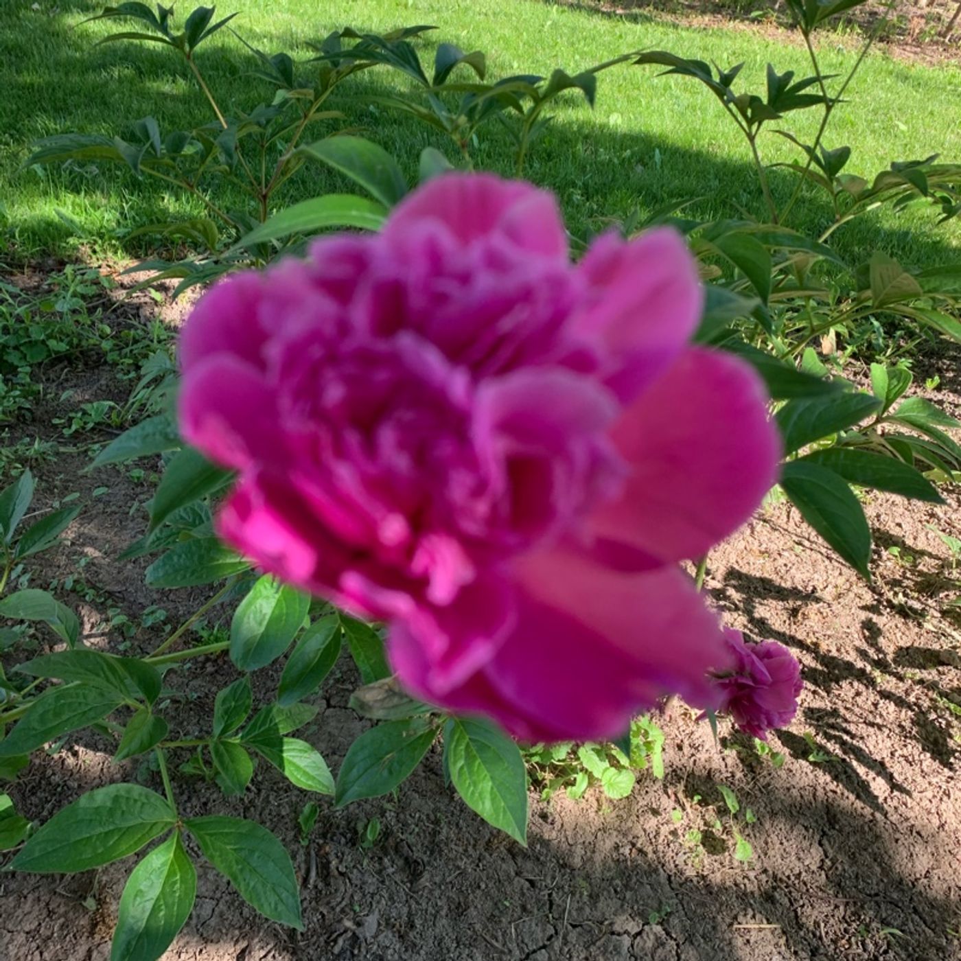 Prayer on the Go! - with Bishop Deb