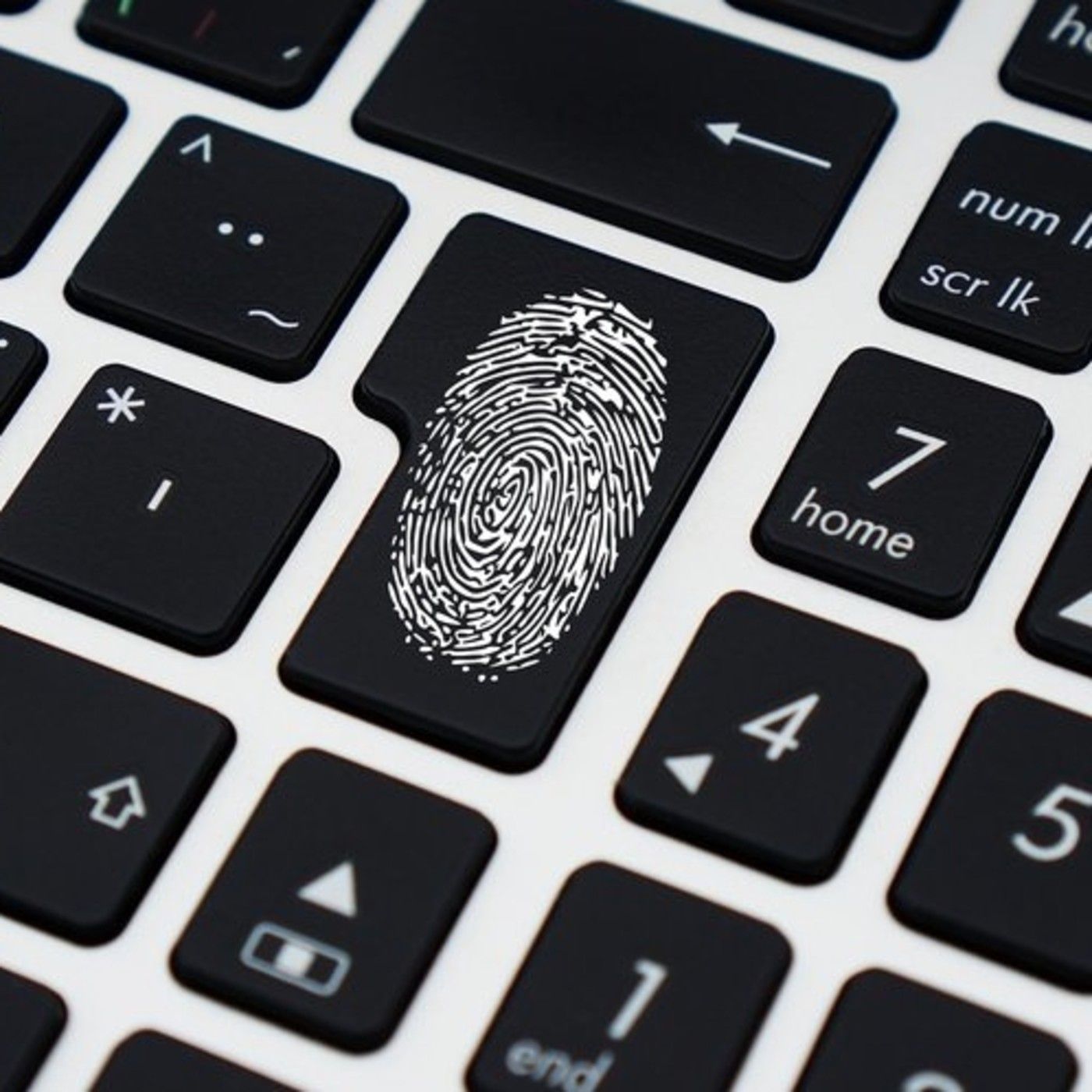 O que hai que escoitar