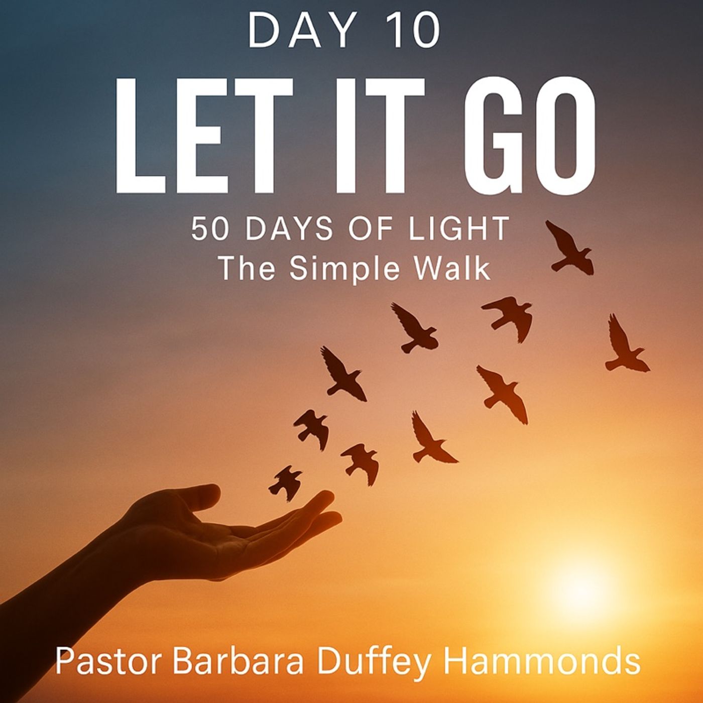 The Simple Walk - 50 Days Of Light