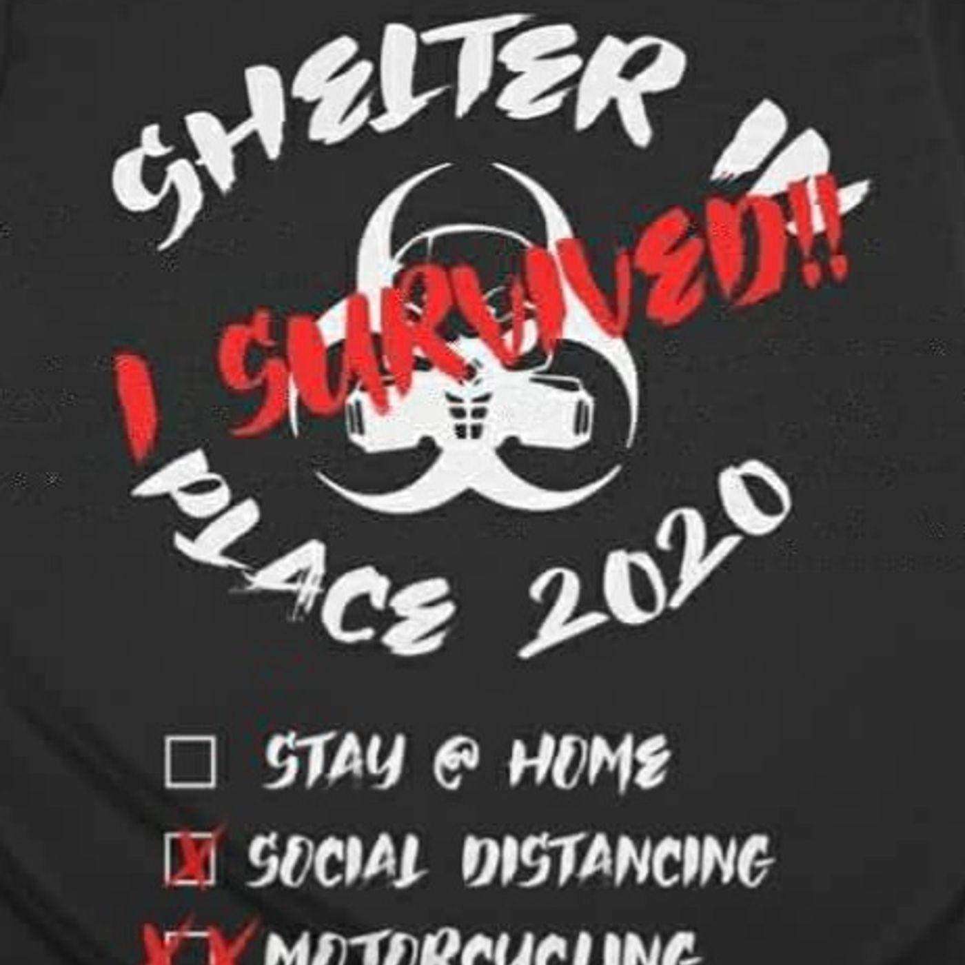 SHELTER IN PLACE 2020
