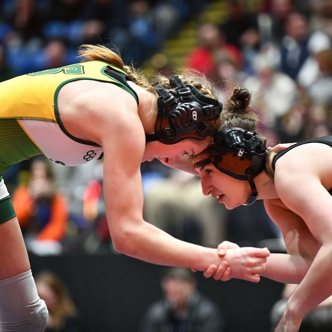 Daily Chronicle girls wrestling preview: 5 wrestlers to watch episode artwork