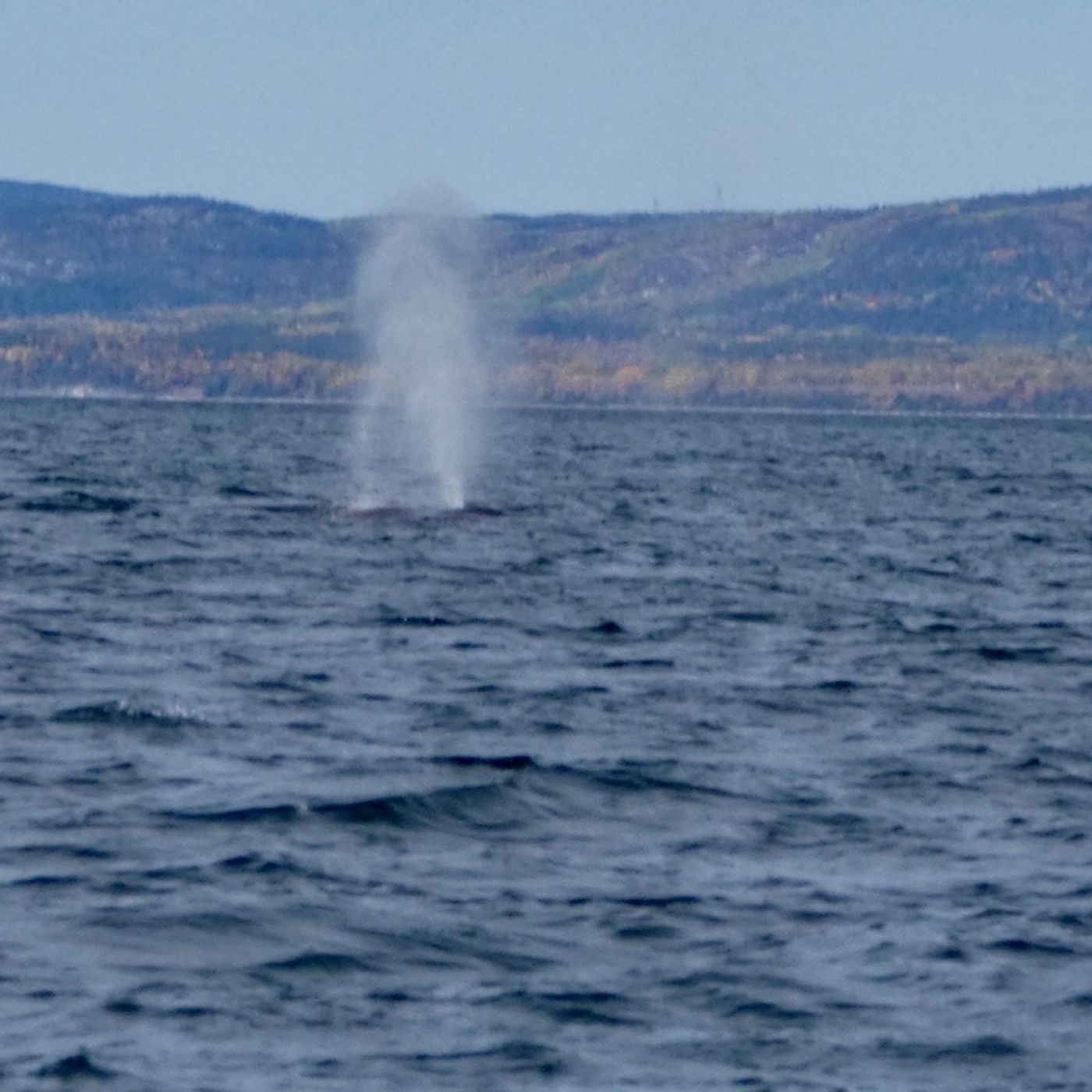 Bilan voyage au Québec