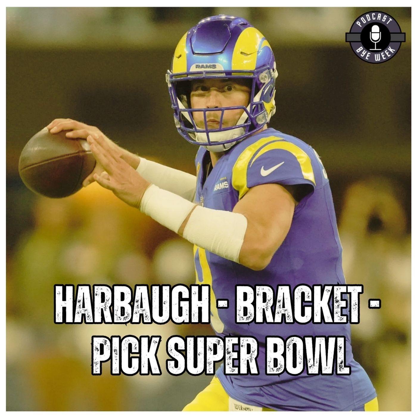 John Harbaugh y Mike McDaniel OUT + Power Rankings Playoffs + Picks de Super Bowl