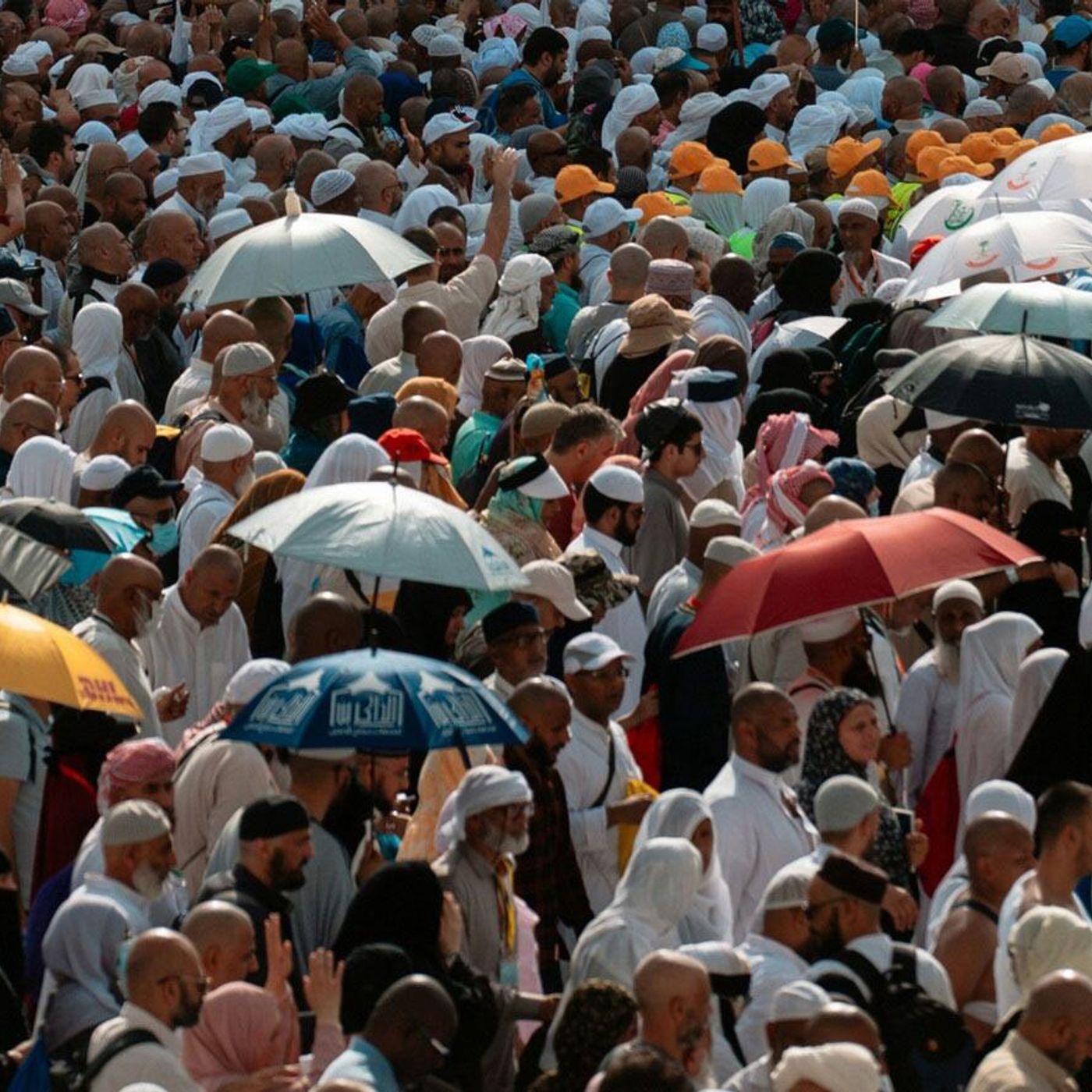 OMS lança guia para prevenir impactos do calor em grandes eventos