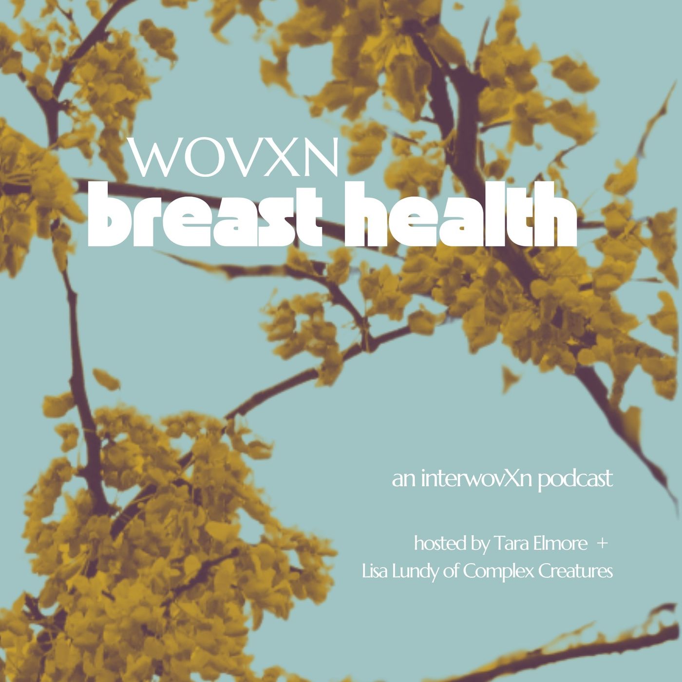 WOVXN Breast Health: Feed Your Breasts episode artwork