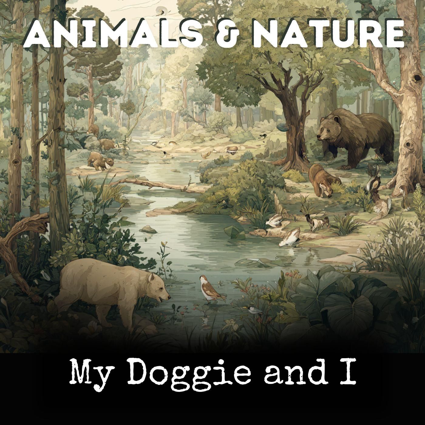 My Doggie and I cover art