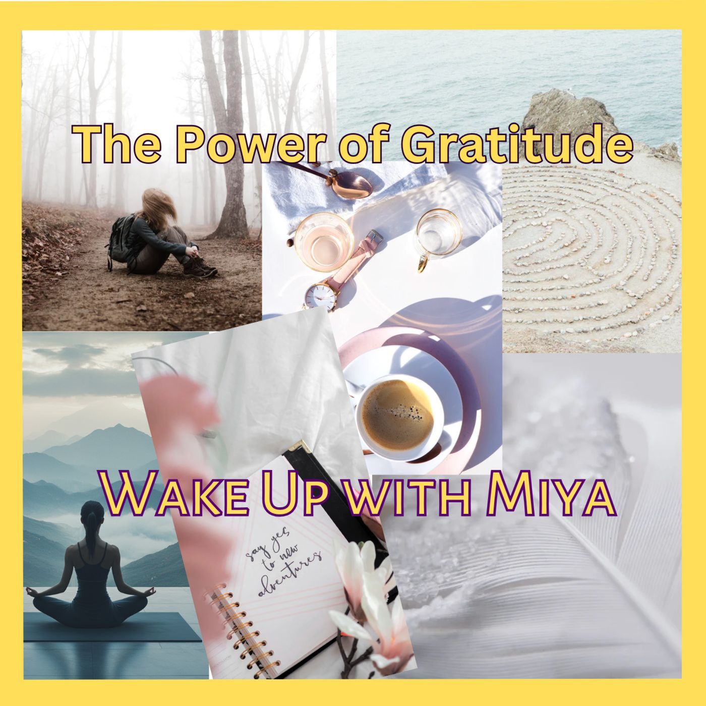 Episode 113. The Power of Gratitude: Part 2 in our Journey to Abundance