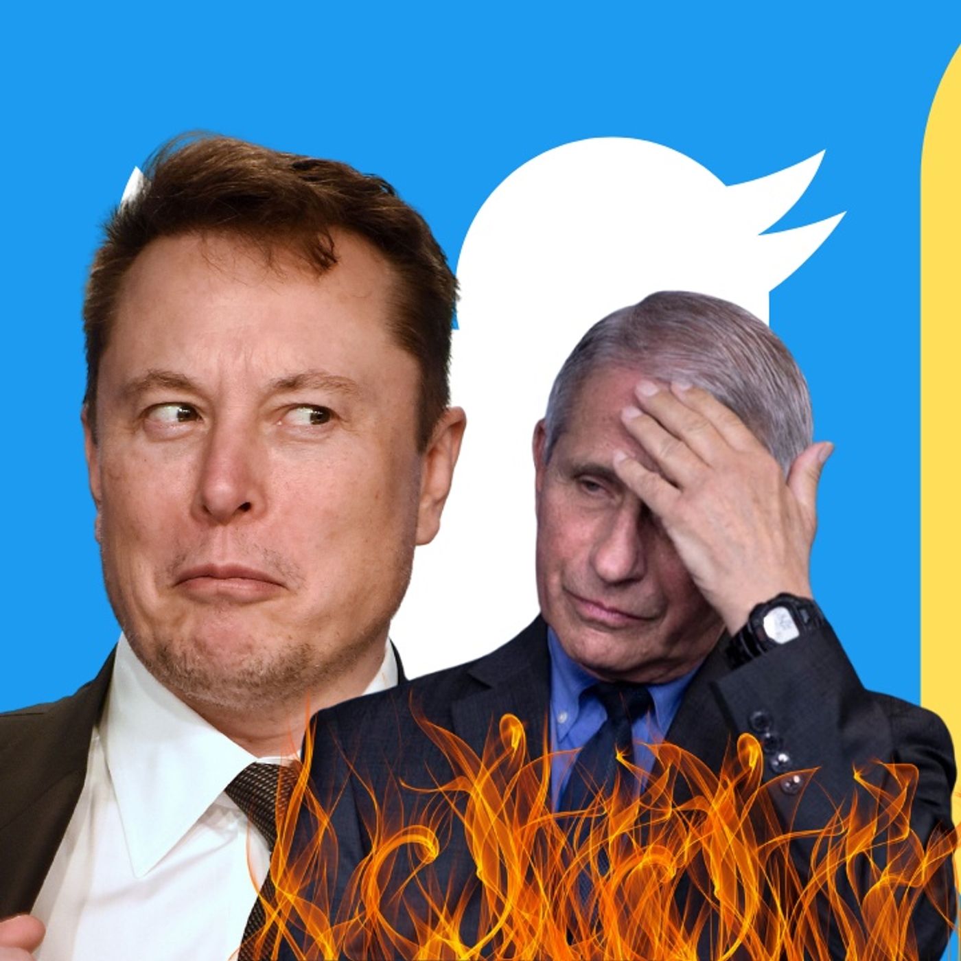 Elon Roasts Fauci And Pronouns In Tweet