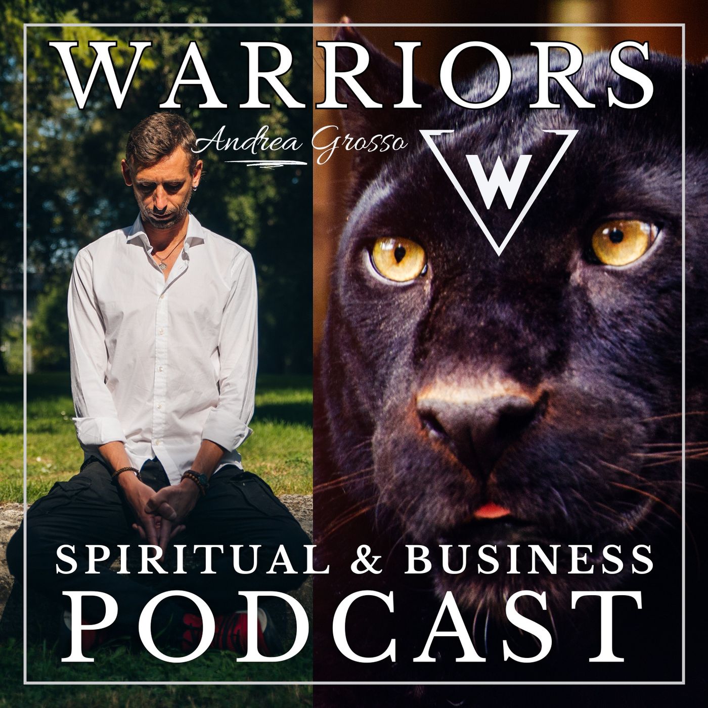 Warriors - Spiritual & Business Podcast