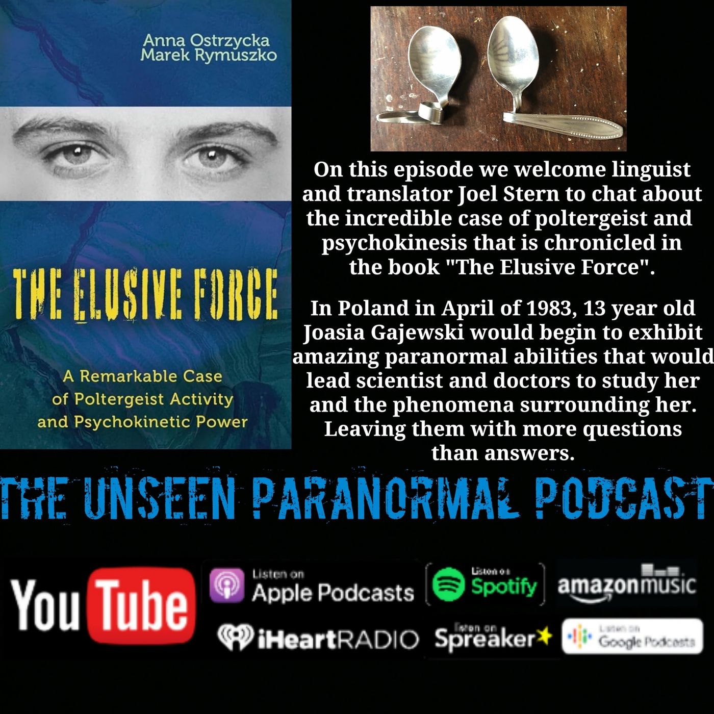 The Incredible Case of Poltergeist and Psychokinesis with Joel Stern - podcast episode cover