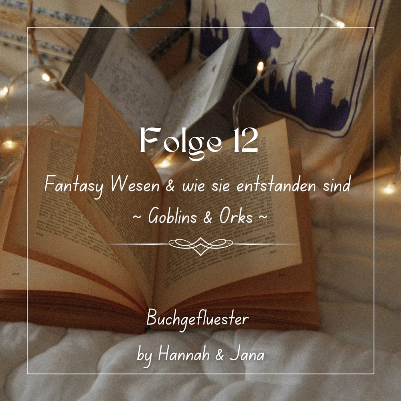 Buchgefluester