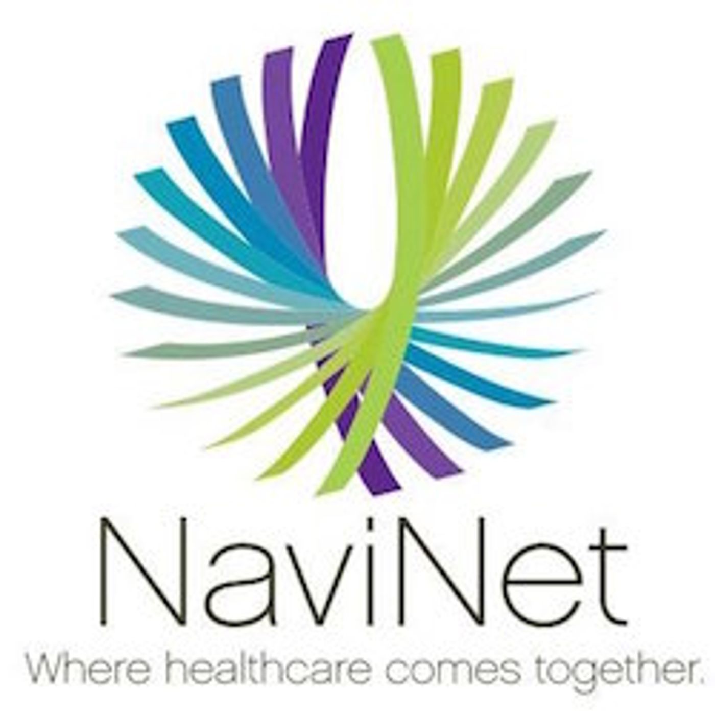 Erinn Gerry with NaviNet episode artwork