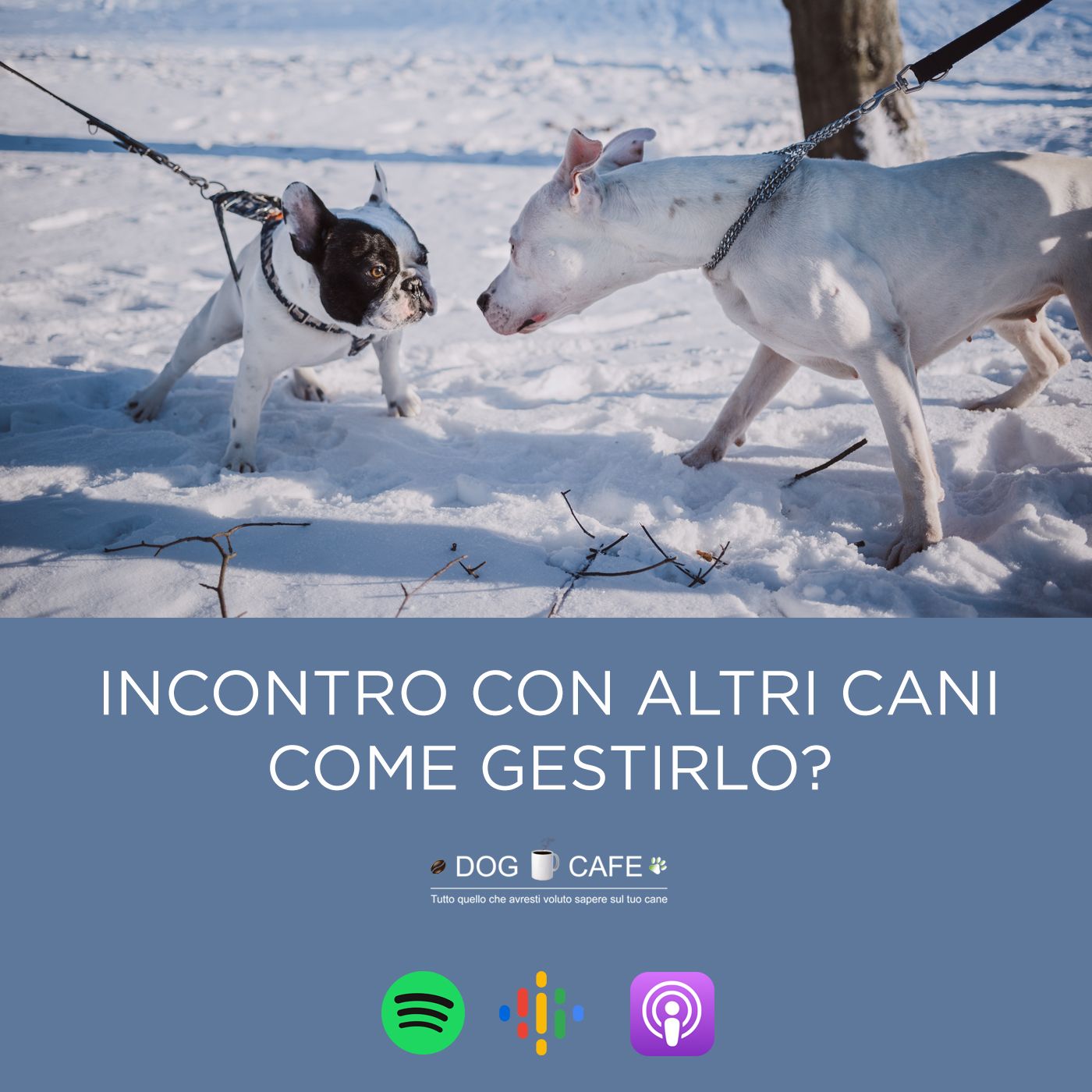 Dog Cafe Podcast