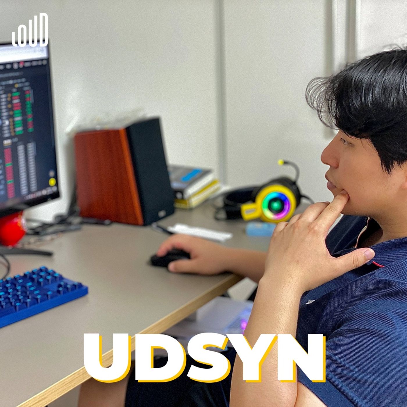 Udsyn