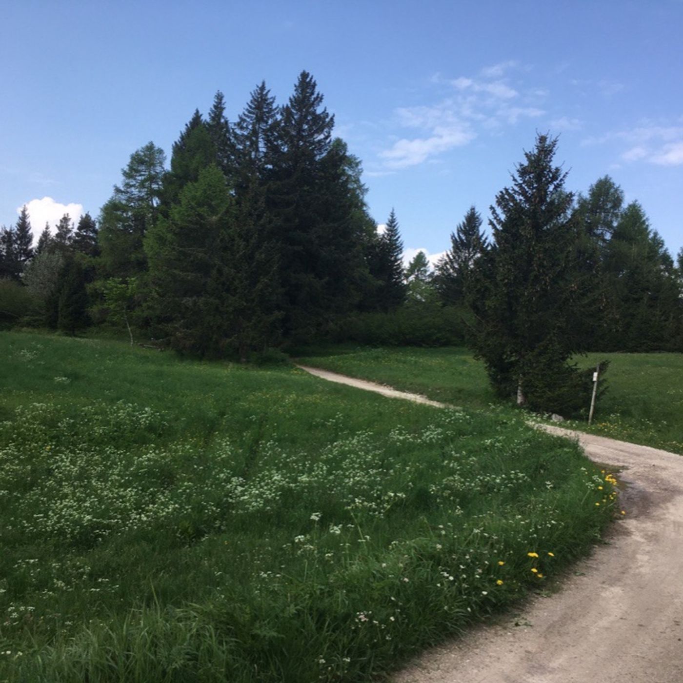 Passo dopo Passo