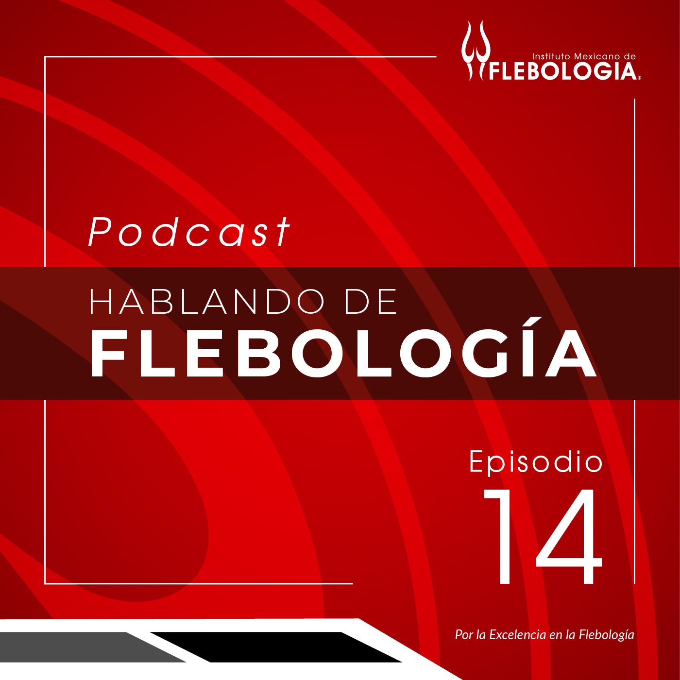 Hablando de Flebología