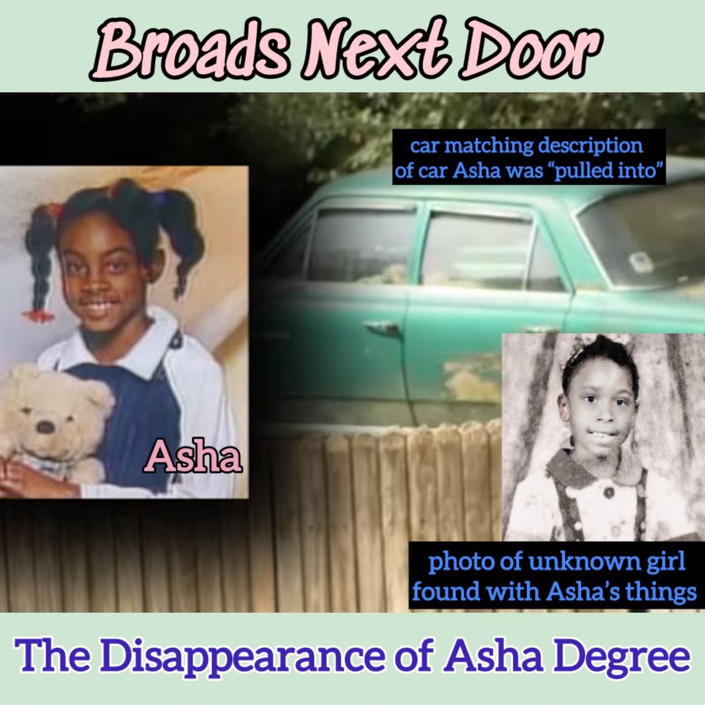 The Disappearance of Asha Degree