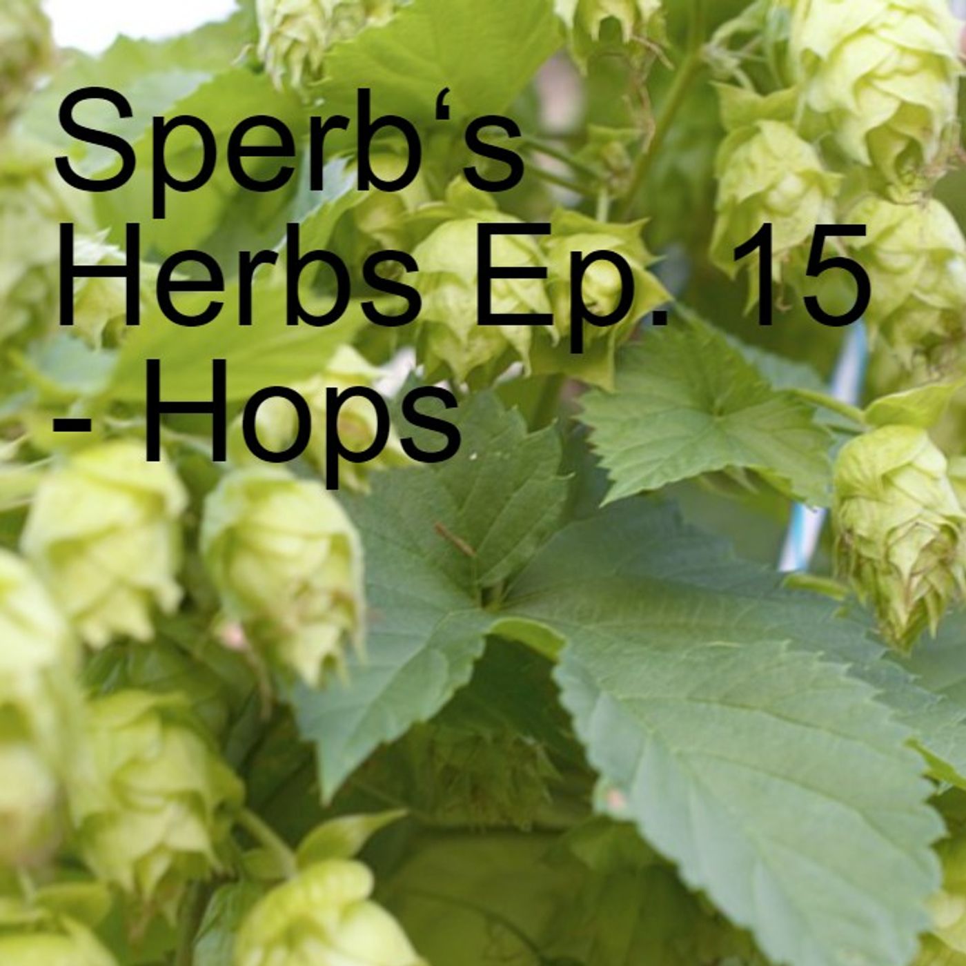 Sperb\'s Herbs Podcast