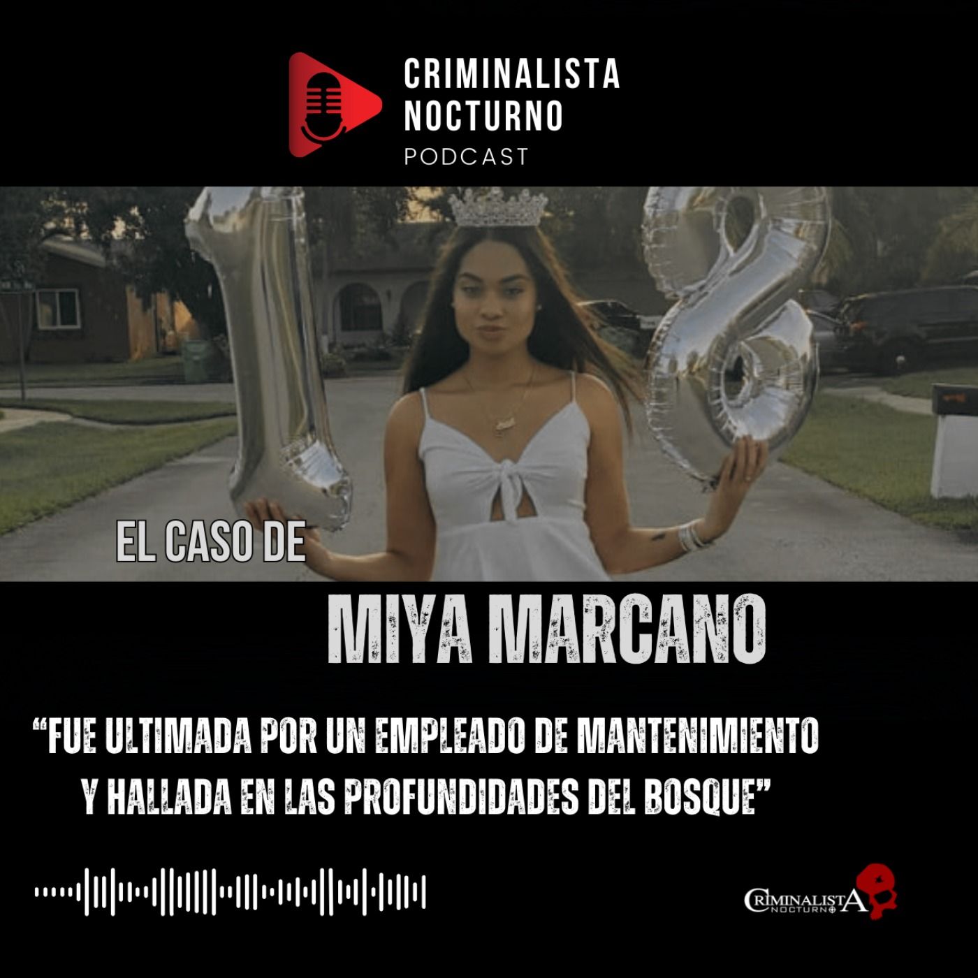 CRIMINALISTA NOCTURNO