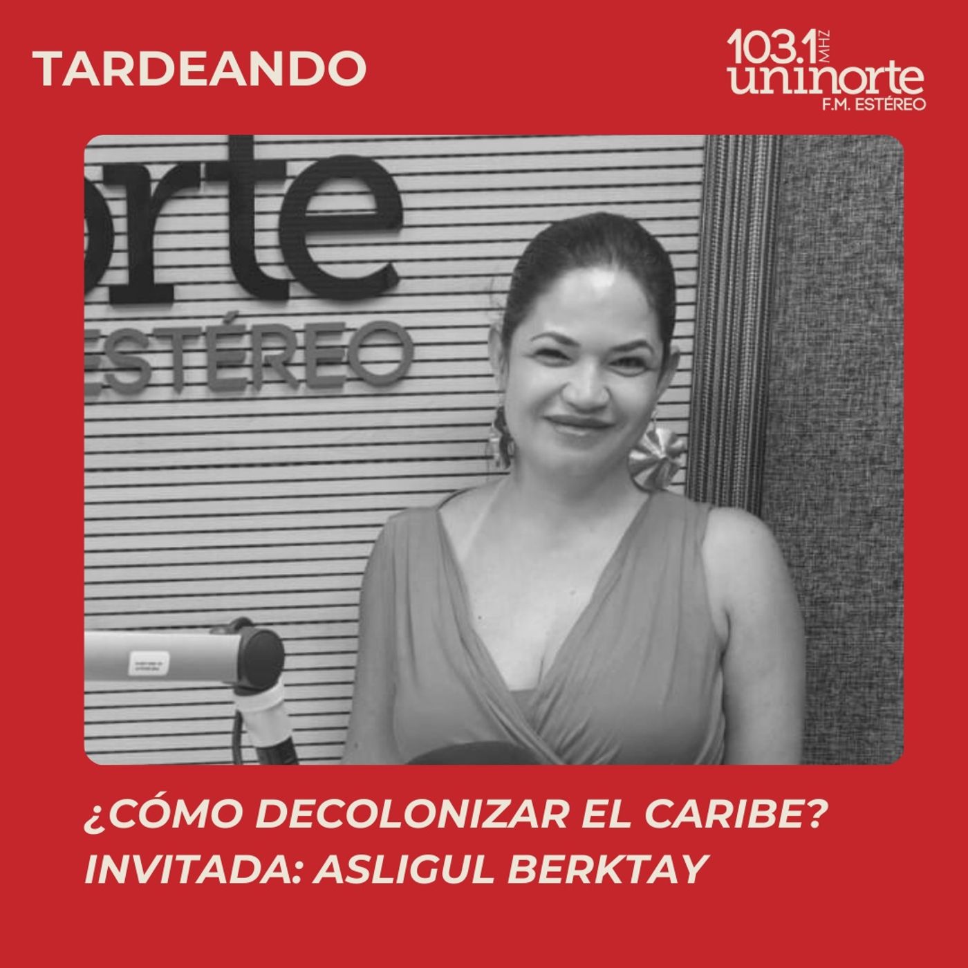 ¿Cómo decolonizar el Caribe? :: INVITADA: Asligul Berktay episode artwork