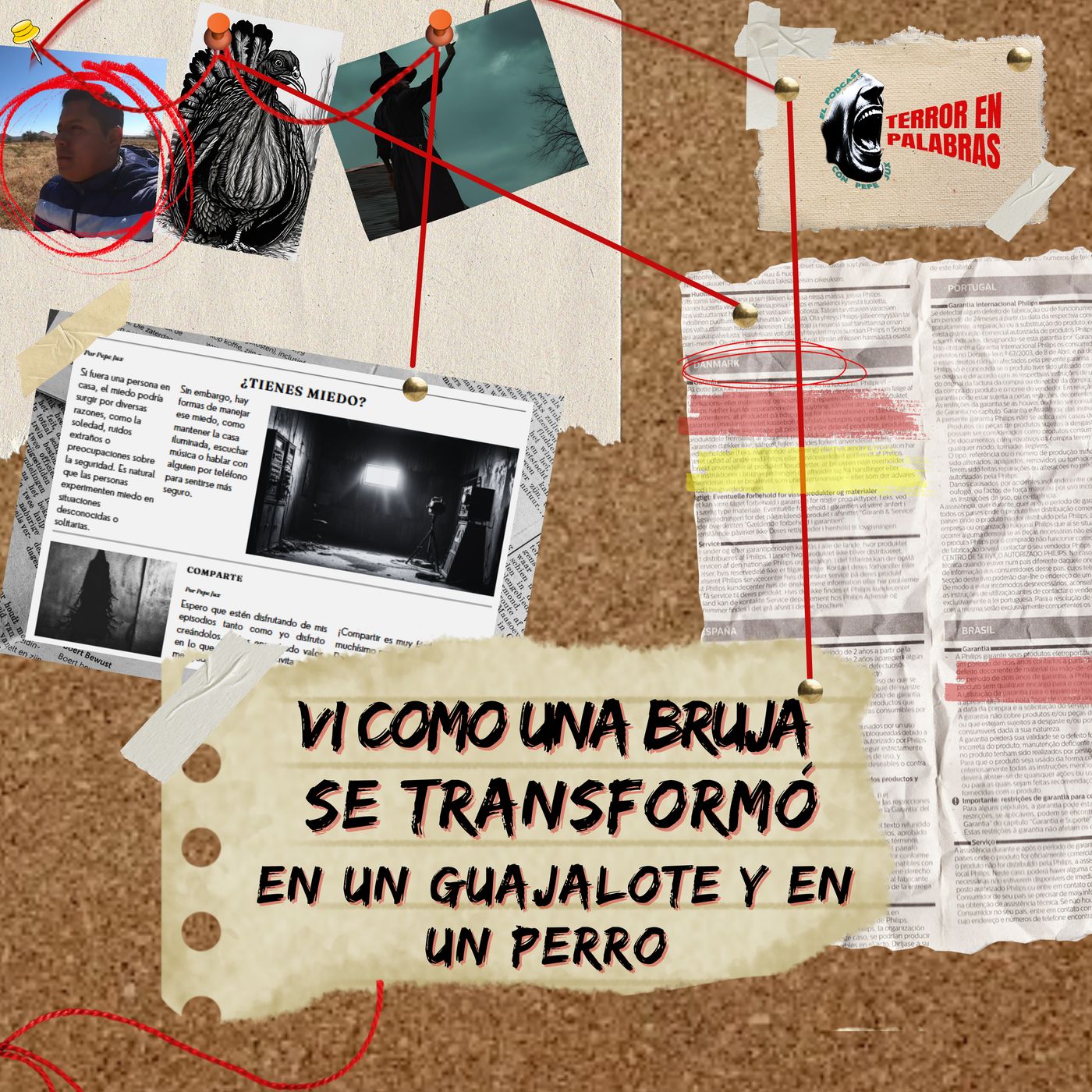 Vi como una bruja se transformó en un guajalote y en un perro episode artwork