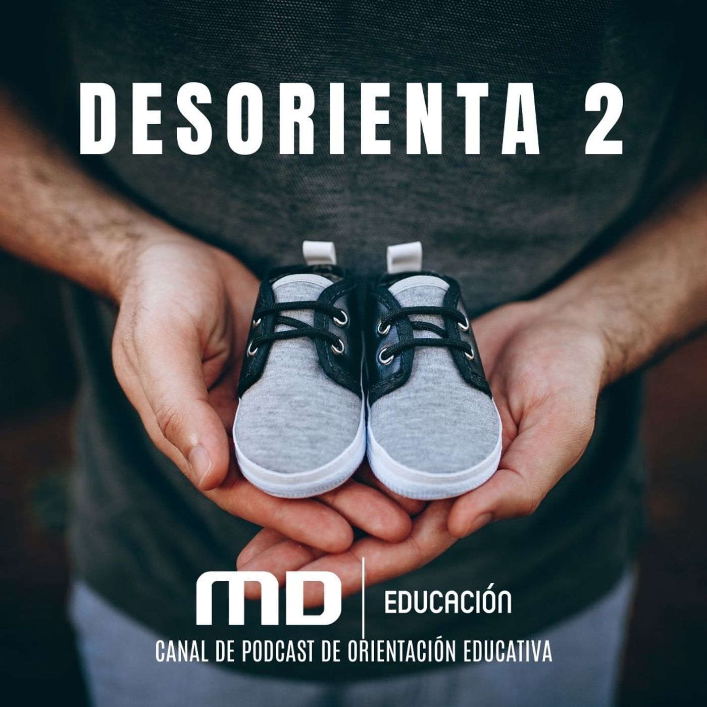 Desorienta2