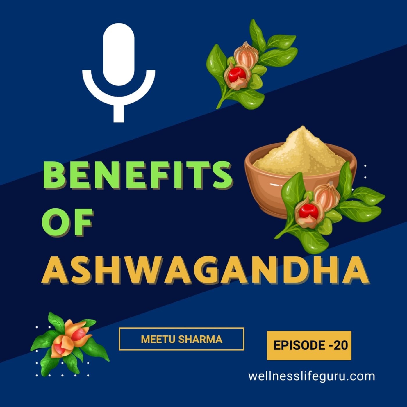 Wellness Life Guru: Health Guide