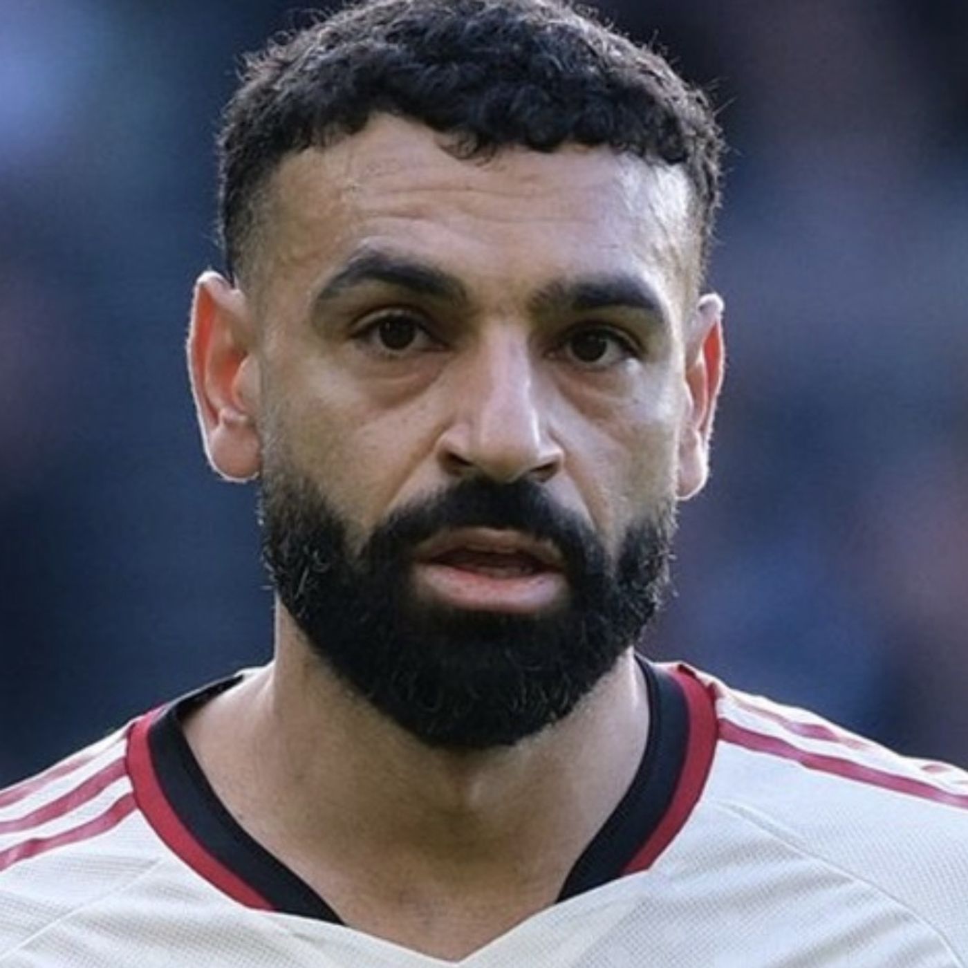 S089E33: I Mean They Won't Be In The Premier League Otherwise - Trevor Gear On The Analysis Of Players